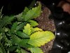 20180718_133712.jpg