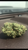 25403375-A391-44F9-8E3D-2F3E2F6EC4CA.png