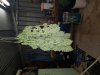 20180726_221206.jpg