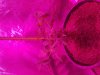 20180730_094746.jpg