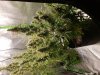 20180730_094030.jpg