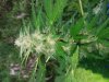 20180730_073115.jpeg
