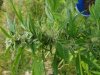20180730_073030.jpeg