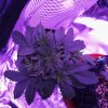 IMG_20180802_183016.jpg