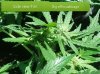 20180804_124848.jpg
