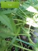 20180804_190945.jpg