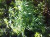 20130207_0721041755880753.jpg