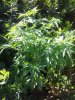 20130207_072104.jpg
