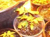 100_9513.jpg