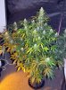 CM_day59_3-small.jpg