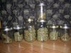 FEB 2013 HALF HARVEST.jpg