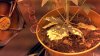2013-02-07_17-05-48_242.jpg