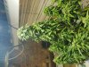 20180812_212757.jpg