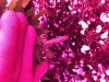 image4 (4).jpeg
