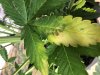7D9B63CC-5051-4C7A-A2F0-996AD4CF6268.jpeg