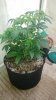 20180818_122801.jpg