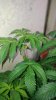 20180818_122818.jpg