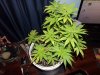 100_0143.JPG