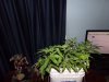 100_0151.JPG