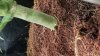 20180822_152419.jpg