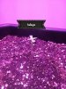 20180814_005538.jpg