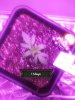 20180820_012100.jpg