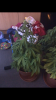 2C9B1166-2C34-4351-B854-EE2F4C34F502.png
