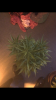 9E6DA036-E2EE-48B2-9491-61C86785F464.png