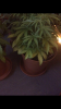 BC33661D-0CC0-481C-A032-E417B8360CDA.png