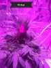 20180831_141049.jpg