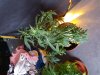 20180904_100226.jpg