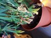 20180904_100223.jpg