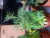 20180904_100212.jpg
