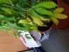 20180904_100209.jpg
