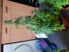 20180904_100205.jpg