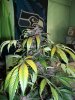 100_1031.jpg