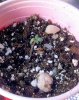 IMG_20130213_111945.jpg
