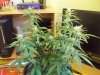 100_2161.jpg