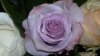 2013-02-09-944.jpg