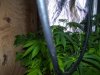 100_9595.jpg