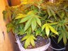 100_9604.jpg