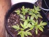 100_9606.jpg