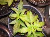 100_9612.jpg