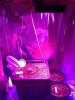 Grow Setup.jpg
