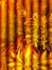 IMG_0273.jpg
