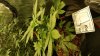 20180913_003815.jpg