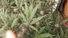 20180913_194547.jpg