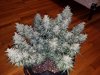 20180907_113909.jpg