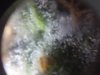 20180916_011154.jpg