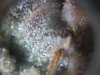 20180916_011135.jpg